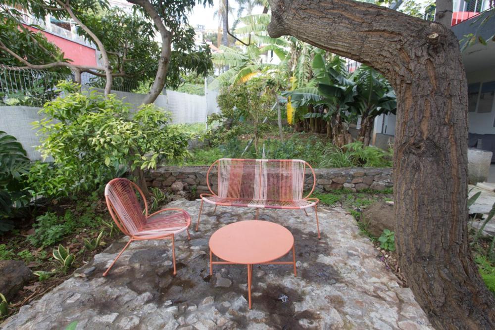 Rochinha Cozy Home Funchal  Eksteriør billede