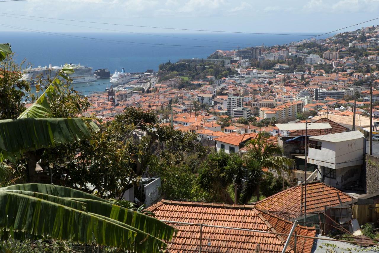 Rochinha Cozy Home Funchal  Eksteriør billede