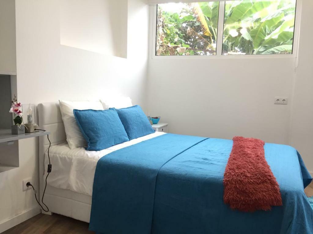 Rochinha Cozy Home Funchal  Eksteriør billede